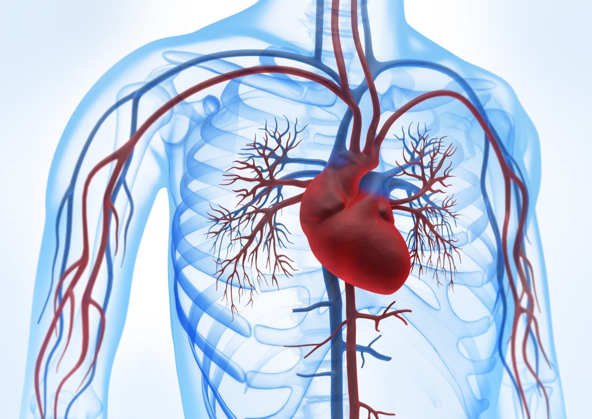 راهکارهای پیشگیری از بیماری قلبی