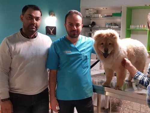 کلینیک دامپزشکی آفتاب مشهد 
