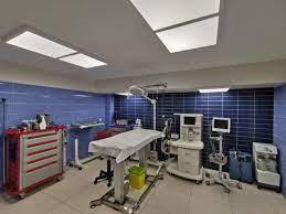 کلینیک فرشته دامپزشکی
