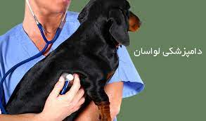 کلینیک لواسان دامپزشکی