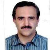 دکتر سید حسام نبوی زاده دکتر آلرژی شیراز