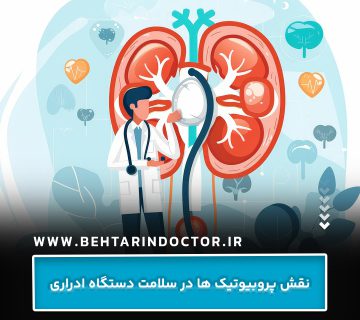 نقش پروبیوتیک ها در سلامت دستگاه ادراری نقش پروبیوتیک ها در سلامت دستگاه ادراری